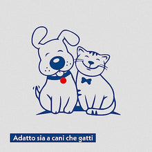 Carica l'immagine nel visualizzatore di Gallery, AMORE MIO | 110 Salviette al Talco Maxi Formato Extra Large per Il Manto di Cani, Gatti e Animali Domestici, Disinfettanti e Igienizzanti, 30x20 cm - 1 Confezione da 110 Salviettine