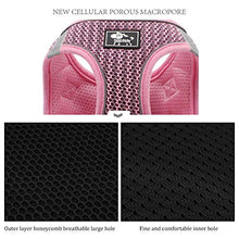 Carica l&#39;immagine nel visualizzatore di Gallery, BLEVET Confortevole Pettorina Imbracatura Riflettente Pet Walking L, 118 Pink