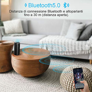 Cassa Bluetooth 30W Altoparlante Portatile 5.0 con Bassi S1-Nero