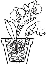 Carica l&#39;immagine nel visualizzatore di Gallery, Compo, Concime in Bastoncini per Orchidee, Fino a 3 Mesi di nutrimento, 20...