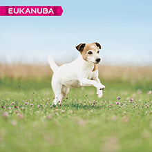 Carica l'immagine nel visualizzatore di Gallery, EUKANUBA, mangime Secco Senior, con Pollo Fresco, Adatto per Cani di Piccola...