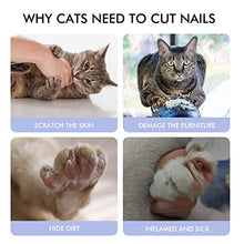 Carica l'immagine nel visualizzatore di Gallery, EooCoo Tagliaunghie per Gatto, Cucciolo, Professionale S, Viola + Rosa