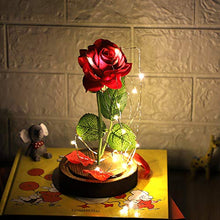 Carica l'immagine nel visualizzatore di Gallery, Anaoo Rose La Bella e la Bestia in Cupola Vetro Regalo per Senza Telecomando - Ilgrandebazar