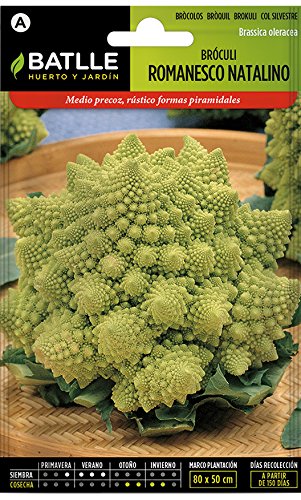 Battle - Semi Ortaggi Broccolo Romanesco Natalino (Semi) - Ilgrandebazar