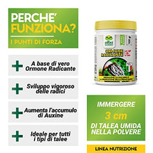 Carica l'immagine nel visualizzatore di Gallery, Albagarden Ormone Radicante Per Talee E Piante Verdi Universale - Micorrize Incrementa La Crescita Naturale Delle Radici, Radicante In Polvere Per Talee Erbacee, Legnose E Arbustive - 100 gr