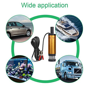 flintronic Pompa Acqua e Olio con Clip, 12V 38mm Sommersa Elettrica...