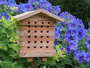Wildlife World Alveare per api solitarie - Ilgrandebazar