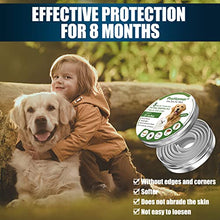 Carica l&#39;immagine nel visualizzatore di Gallery, PROZADALAN [2 PCS] Collare Antipulci Cane, Antiparassitario per Cani per Tutti i Tipi di Cani Impermeabile, 8 Mesi di Efficacia Protezione, Formula Naturale