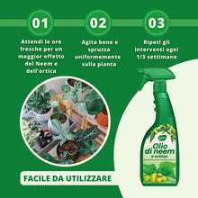 Carica l'immagine nel visualizzatore di Gallery, Gardemia Olio di Neem e Ortica per Piante 750ml Spray Azione Naturale Contro Varie Avversità Straordinarie Proprietà Naturali Macerato Ortica Giardino Alberi Multiuso Alternativa Eco ad Ampio Spettro