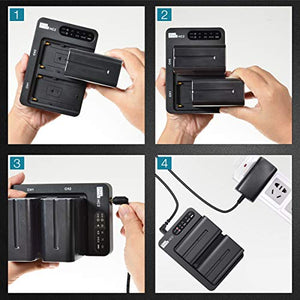 NP-F970 - Batteria e caricabatterie (doppio canale 30w Quick Charger), Pixel...