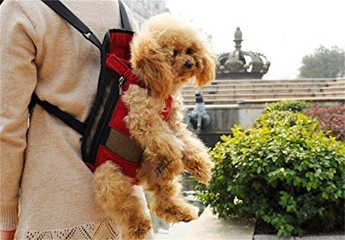 Petcomer Borsa Frontale Trasportino Cane Morbido Marsupio Zaino XL Ro Ilgrandebazar