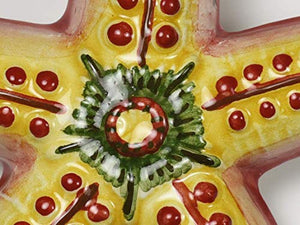 Stella marina in ceramica dipinta a mano