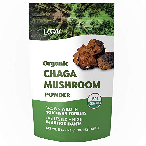 Polvere Biologica di Fungo Chaga, Raccolto Allo Stato Selvatico Nelle...