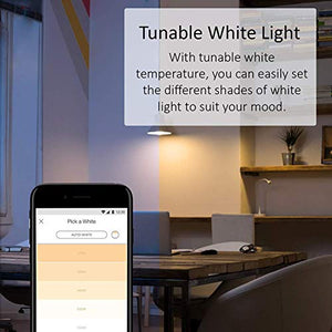 TP-Link KL120 Lampadina Wi-Fi E27, 10 W, Funziona con Bianco freddo e caldo - Ilgrandebazar