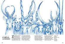 Carica l'immagine nel visualizzatore di Gallery, Curiosi mammiferi. Ediz. a colori (Italiano) Copertina rigida – 26 settembre...