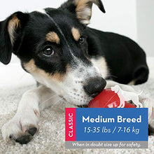 Carica l&#39;immagine nel visualizzatore di Gallery, KONG - Classic Gioco cani, gomma naturale resistente - Masticare, inseguire...