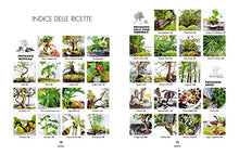 Carica l&#39;immagine nel visualizzatore di Gallery, Terrarium. Mondi vegetali sotto vetro (Italiano) Copertina flessibile – 1... - Ilgrandebazar