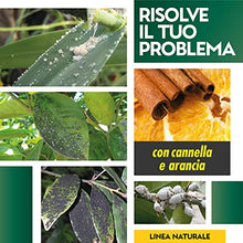 Carica l'immagine nel visualizzatore di Gallery, Albagarden - Sapone Molle di Potassio x 1 Litro - Corroborante Naturale Effetto Insetticida Piante Bio - Potenzia Le Difese Delle Piante Da Insetti Cocciniglia Pidocchi Ragnetto Rosso Cimici Spray
