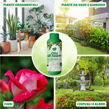 Carica l&#39;immagine nel visualizzatore di Gallery, Gardemia Olio di Neem per Piante 1 Litro 100% Vegetale Azione Naturale contro varie Avversità Giardino Casa Multiuso Estratto Meccanicamente con Pressatura a Freddo Straordinarie Proprietà Naturali