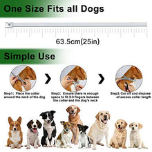 Carica l&#39;immagine nel visualizzatore di Gallery, Collare Antipulci Cane, per Cani e Zecche Regolabile 1pack
