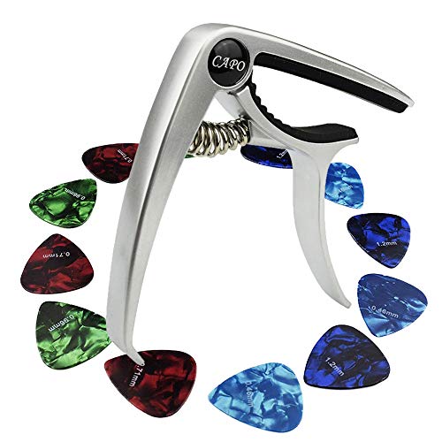 Gudotra Capotasto per Chitarra in lega di Zinco Leggera con 12 Pezzi argento - Ilgrandebazar
