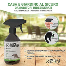 Carica l&#39;immagine nel visualizzatore di Gallery, 3