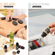 Carica l&#39;immagine nel visualizzatore di Gallery, Oli Essenziali per Diffusori, Set di olio essenziale 12 x 10 ml, Essenze Naturali olio essenziale,Tea Tree Lavanda Rosmarino Eucalipto Ylang-ylang Incenso Citronella Arancia Menta Limone Bergamotto