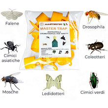 Carica l'immagine nel visualizzatore di Gallery, Trappola biologica cromotropica per gli insetti infestanti pz.10