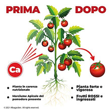 Carica l&#39;immagine nel visualizzatore di Gallery, Albagarden - Calcio Per Pomodori Liquido Concime Orto Nitrato Di Calcio Fertilizzante Piante Cura Del Marciume Apicale Nero Alta Concentrazione Ricco In Magnesio Azoto Potassio Calcio Liquido x 1 Kg