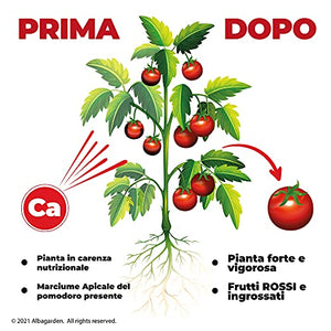 Albagarden - Calcio Per Pomodori Liquido Concime Orto Nitrato Di Calcio Fertilizzante Piante Cura Del Marciume Apicale Nero Alta Concentrazione Ricco In Magnesio Azoto Potassio Calcio Liquido x 1 Kg