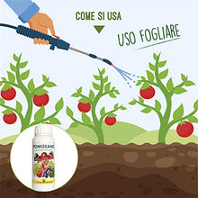 Carica l&#39;immagine nel visualizzatore di Gallery, I Consigli Dell&#39;Esperto Pomosano Concime Minerale e Calcio, 500 gr