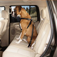 Carica l&#39;immagine nel visualizzatore di Gallery, JINCHAO Cane Cintura Di Sicurezza Auto per Cani Animale Domestico Durevole... - Ilgrandebazar