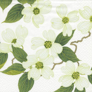 Caspari Entertaining - Tovaglioli di Carta, Motivo Fiori Bianchi, 20 Pezzi - Ilgrandebazar