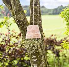 Carica l&#39;immagine nel visualizzatore di Gallery, Windhager Cordoncino Iuta, Filo di Legatura, Naturale, 4 mm x 50 4 x 50 m