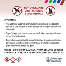 Carica l'immagine nel visualizzatore di Gallery, 5