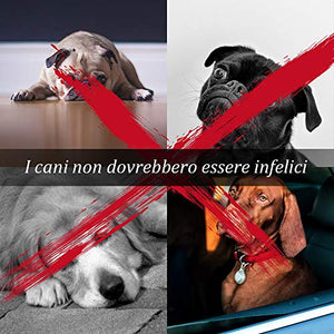 ZIIDOO Set di Giocattoli per Cani, Corda da Masticare, Frisbee, Palla che... - Ilgrandebazar
