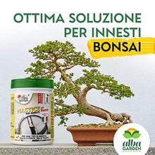 Carica l'immagine nel visualizzatore di Gallery, 2
