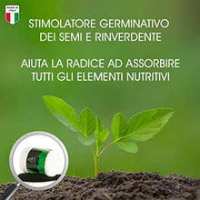 Carica l'immagine nel visualizzatore di Gallery, 5