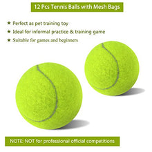 Carica l'immagine nel visualizzatore di Gallery, Philonext 12 Pcs Palline da tennis, pacchetti Sport palla di gioco del cane... - Ilgrandebazar