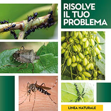 Carica l'immagine nel visualizzatore di Gallery, Albagarden - Olio Di Neem Per Piante 1 Litro - Naturale Concentrato Contro Insetti Funghi Cocciniglia, Acari Afidi Pulci, Cimici, Pidocchi, Vespe E Calabroni - Spray Pronto Uso