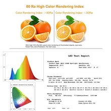 Carica l&#39;immagine nel visualizzatore di Gallery, Yafido Lampadine GU5.3 MR16 LED 12V Faretti Luce Bianco Caldo 7W - Ilgrandebazar