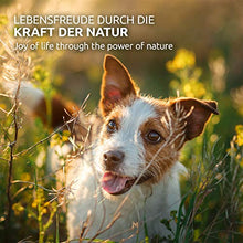 Carica l&#39;immagine nel visualizzatore di Gallery, AniForte WermiX per Cani 50 Capsule - Prodotto Naturale Prima, Durante e...