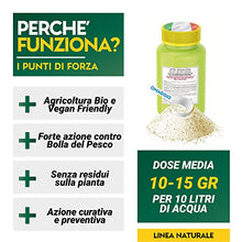 Carica l&#39;immagine nel visualizzatore di Gallery, Albagarden - Fungicida Piante Per Bolla Del Pesco Per Agricoltura Biologica - Lecitina Funghicida Naturale Per Trattamento di Oidio Peronospora Alternaria - Polvere Solubile X 100 gr