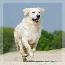 Carica l&#39;immagine nel visualizzatore di Gallery, GreenPet liquido per sverminazione al 100 % naturale 50 ml, ideale cani,...