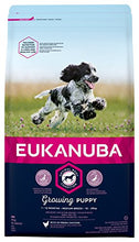 Carica l'immagine nel visualizzatore di Gallery, Eukanuba Cibo Secco per Cani, Cuccioli in Crescita, Cani di Taglia 3 kg