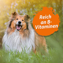 Carica l&#39;immagine nel visualizzatore di Gallery, Ida Plus Birra hefe Compresse con SOLL rottura stelle – per Cani – 120 pezzi...
