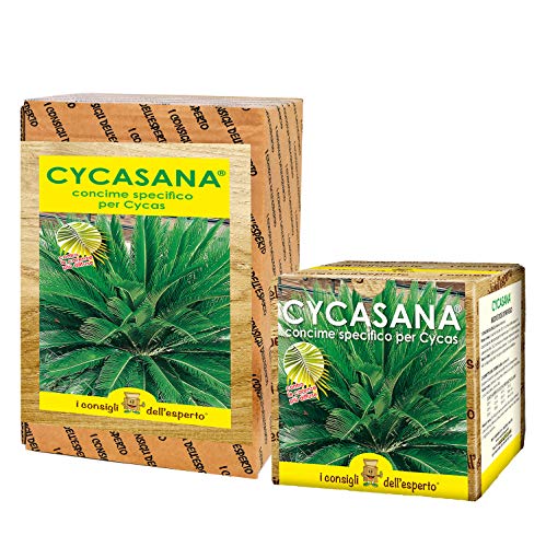 I Consigli Dell'Esperto Cycasana Concime Specifico per Cycas