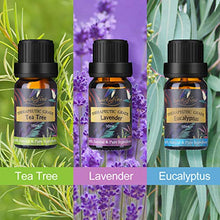 Carica l&#39;immagine nel visualizzatore di Gallery, Oli Essenziali per Diffusori Top 6 Set - Aromaterapia Olio Essenziale... - Ilgrandebazar