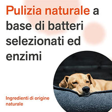 Carica l'immagine nel visualizzatore di Gallery, BactPro - BactPets elimina odori e Macchie per Cani e Gatti - Rimuove urina da Tessuti e superfici - Attivatore Biologico Professionale - Spray 750 ml