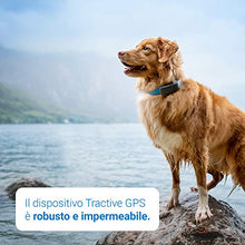 Carica l&#39;immagine nel visualizzatore di Gallery, Nuovo localizzatore Tractive GPS per cani 2019 con monitoraggio dell&#39;attività - Ilgrandebazar